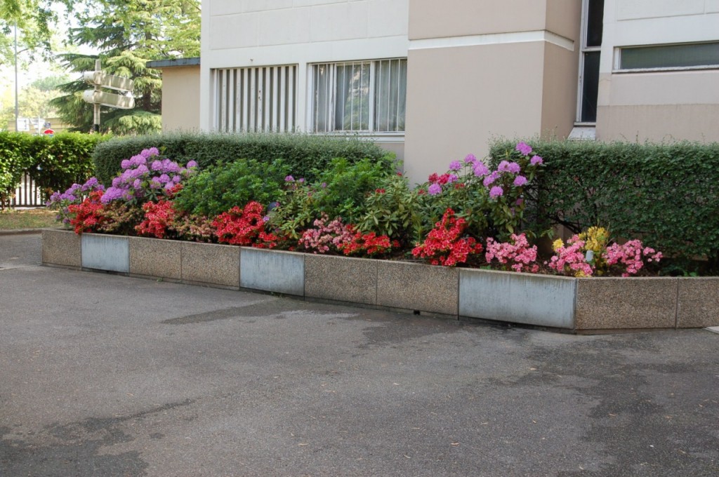 DSC_8238 [Résolution de l'écran]