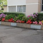 DSC_8238 [Résolution de l'écran]