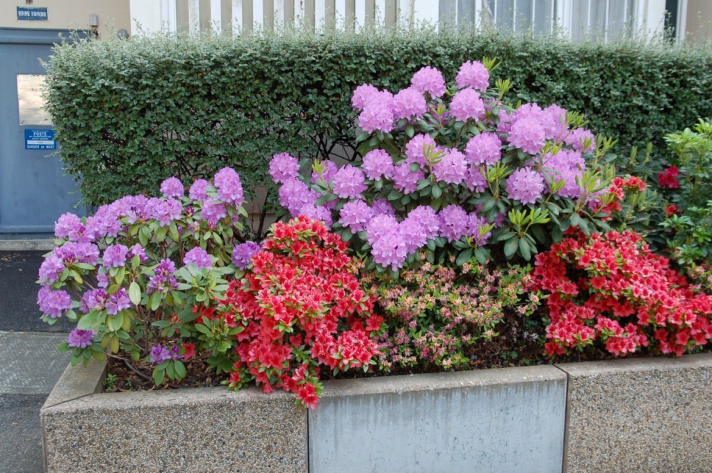 DSC_8239 [Résolution de l'écran]