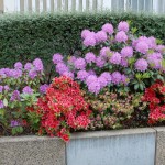 DSC_8239 [Résolution de l'écran]