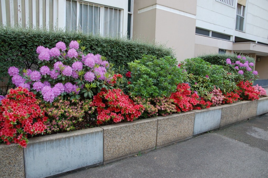 DSC_8240 [Résolution de l'écran]