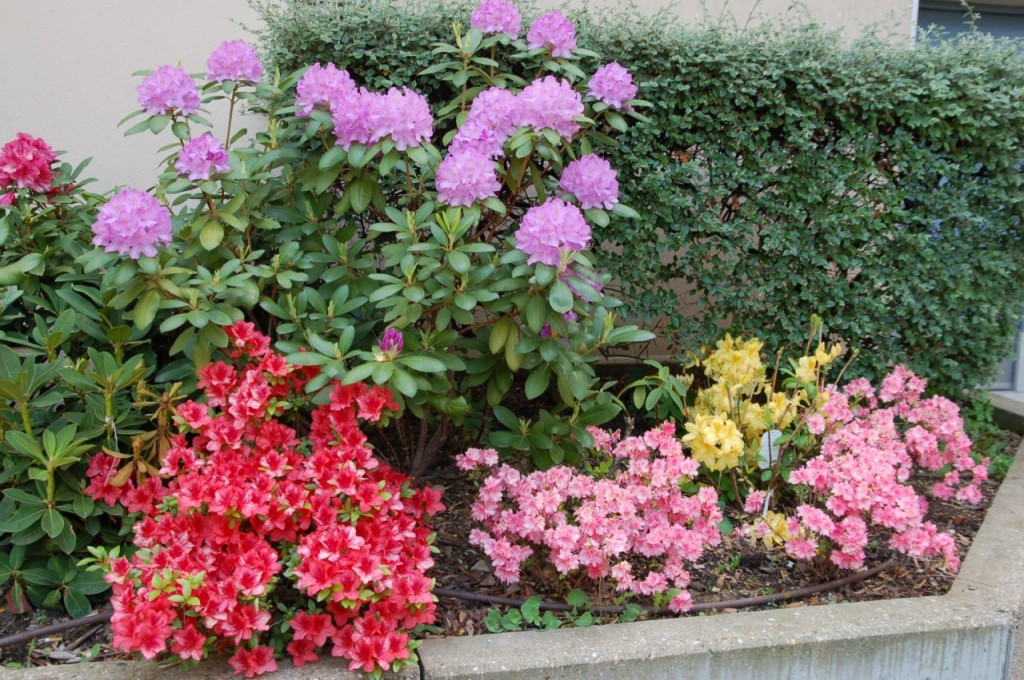 DSC_8243 [Résolution de l'écran]