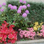 DSC_8243 [Résolution de l'écran]